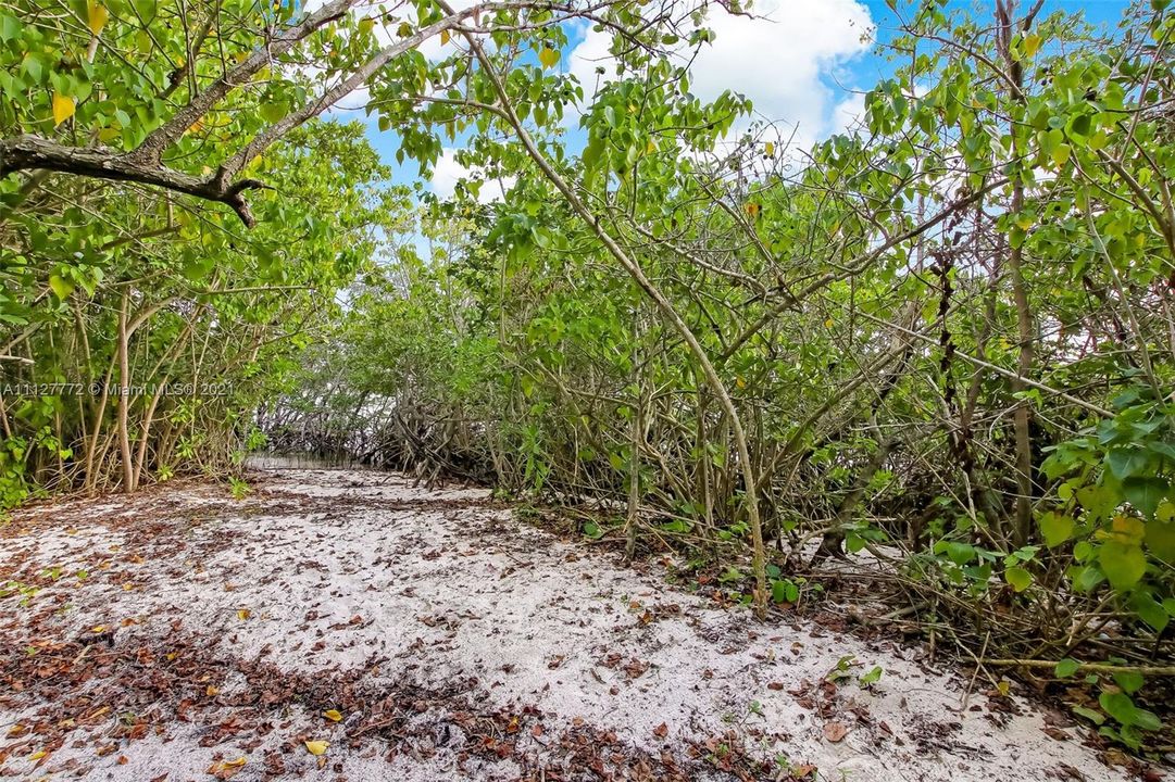 Nature trail leading to south beach.