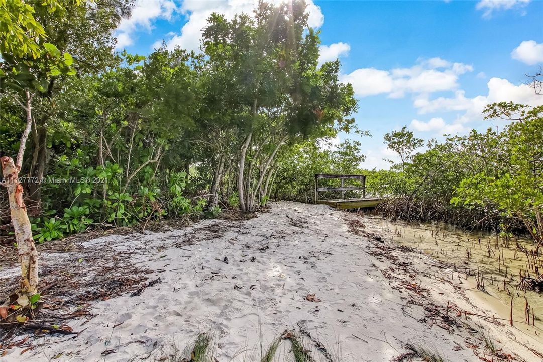 Nature trail leading to the dock.