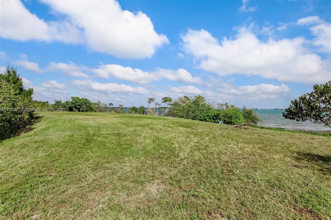 Cleared area looking northeast.