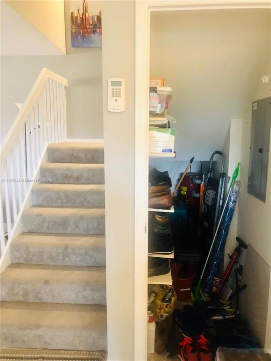 Stairs and large under the stairs closet.