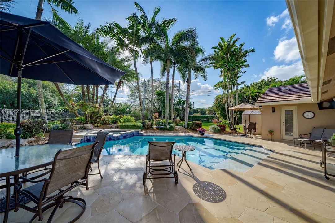 stunning patio, pool and spa with many palms for a little shade!