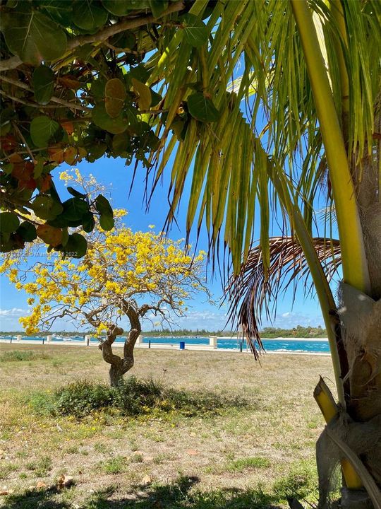 Fort Pierce Inlet