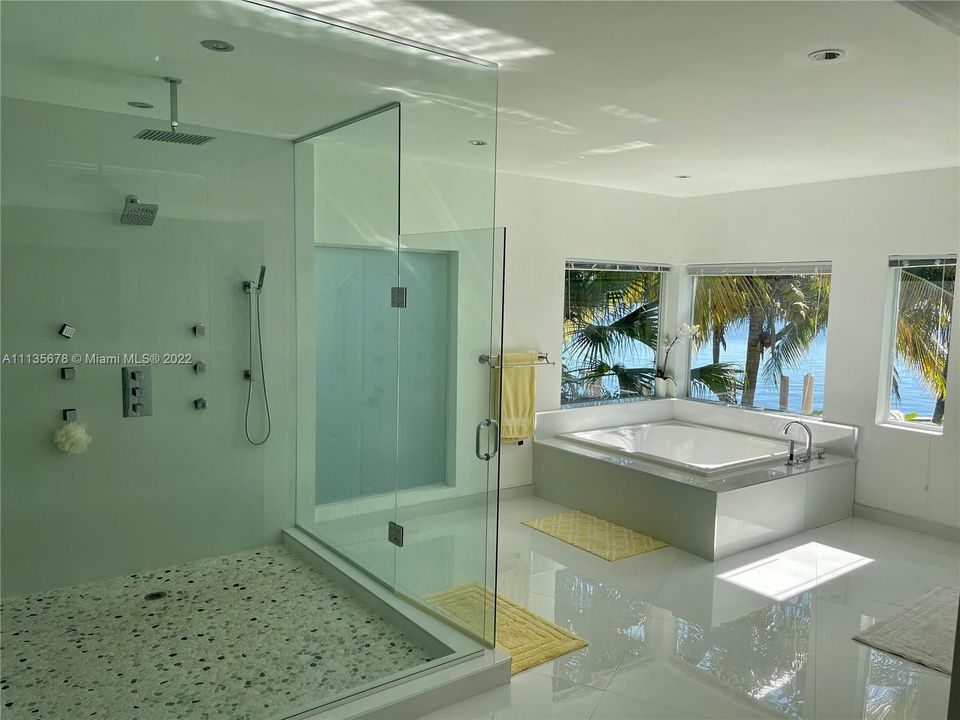 Owner's Bath Dream Jacuzzi and Shower