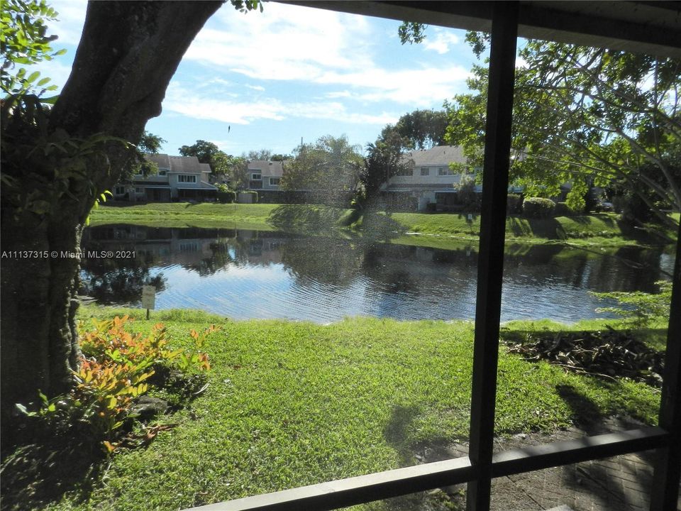 View from patio