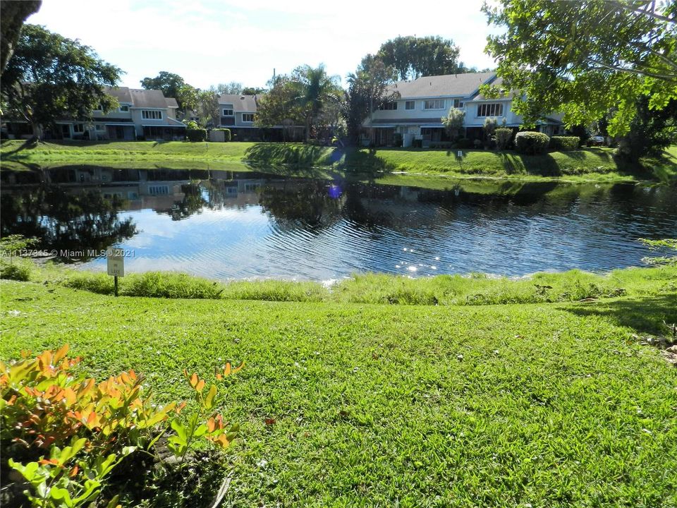 Peaceful lake view