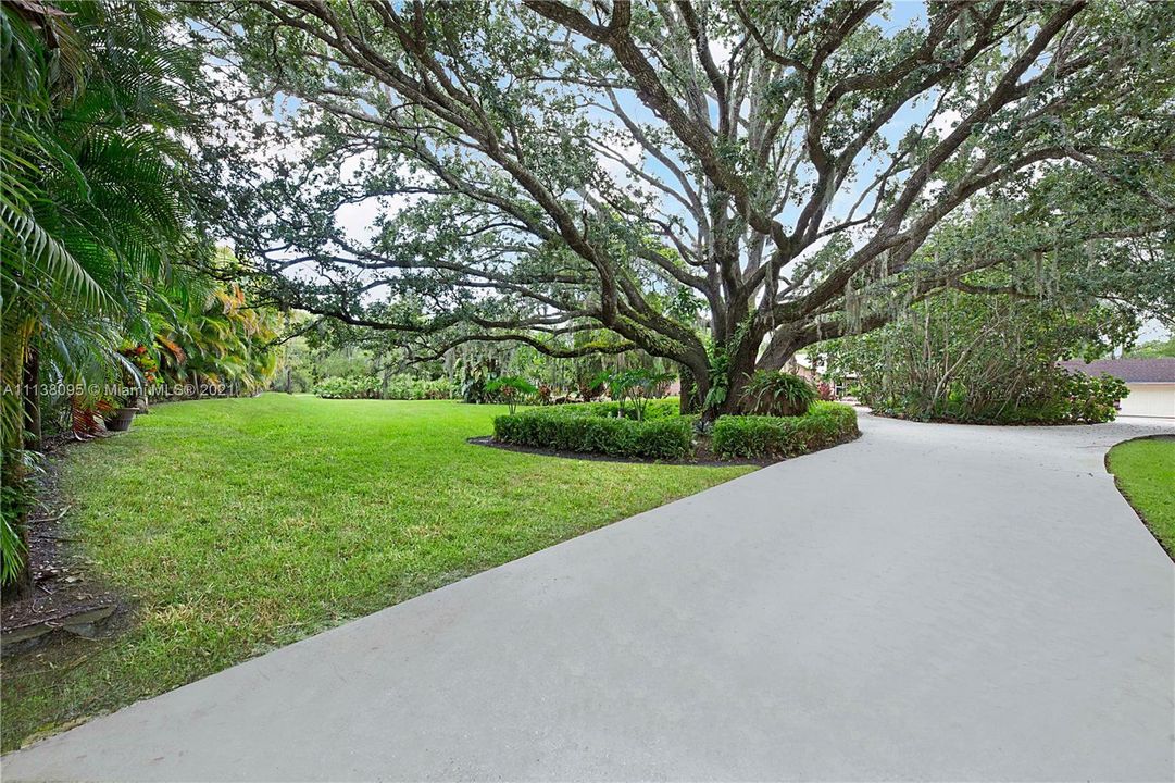 MAIN HOUSE ENTRANCE