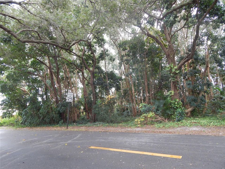 Недавно продано: $195,000 (0.34 acres)