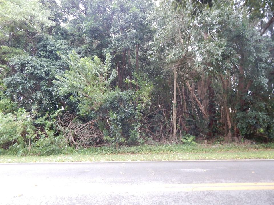 Недавно продано: $195,000 (0.34 acres)