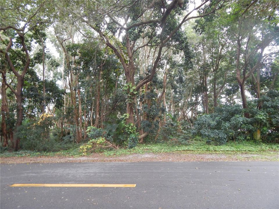 Недавно продано: $195,000 (0.34 acres)