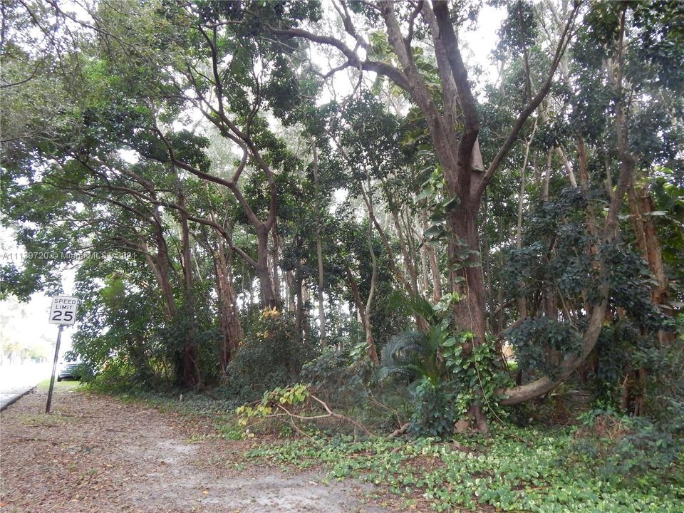 Недавно продано: $195,000 (0.34 acres)