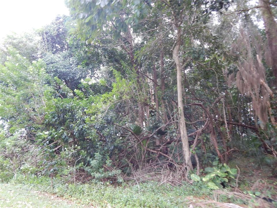 Недавно продано: $195,000 (0.34 acres)