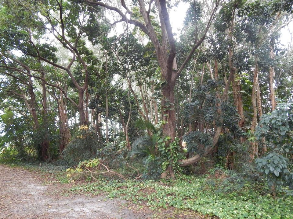 Недавно продано: $195,000 (0.34 acres)