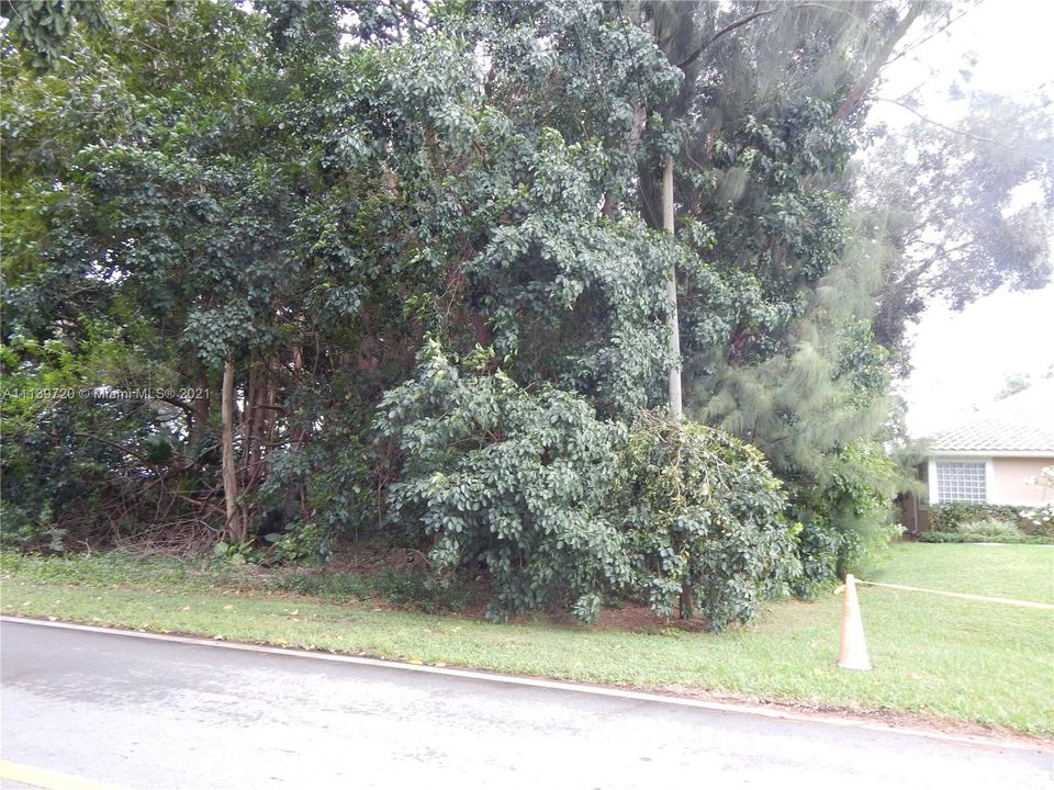 Недавно продано: $195,000 (0.34 acres)