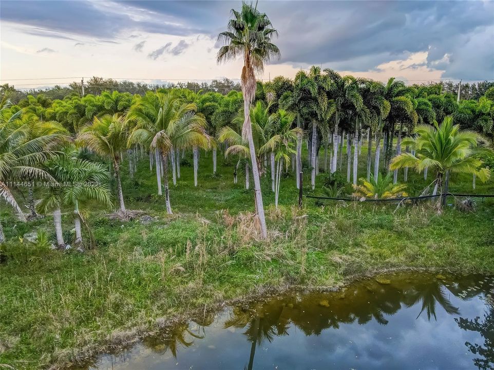 Vendido Recientemente: $2,399,000 (4 camas, 3 baños, 3732 Pies cuadrados)