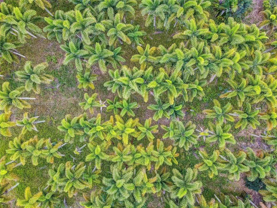 Vendido Recientemente: $2,399,000 (4 camas, 3 baños, 3732 Pies cuadrados)