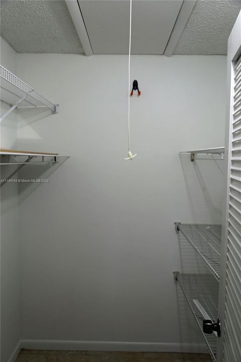 Walk-in closet with pulldown ladder to attic