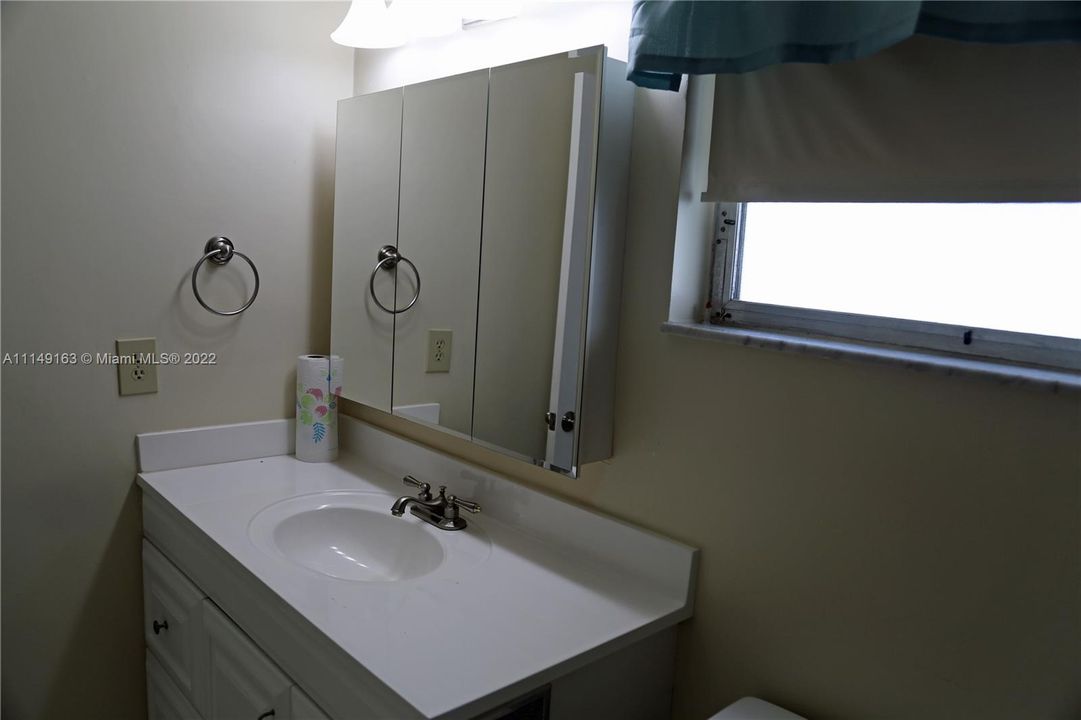 Master bath vanity and mirrored cabinet