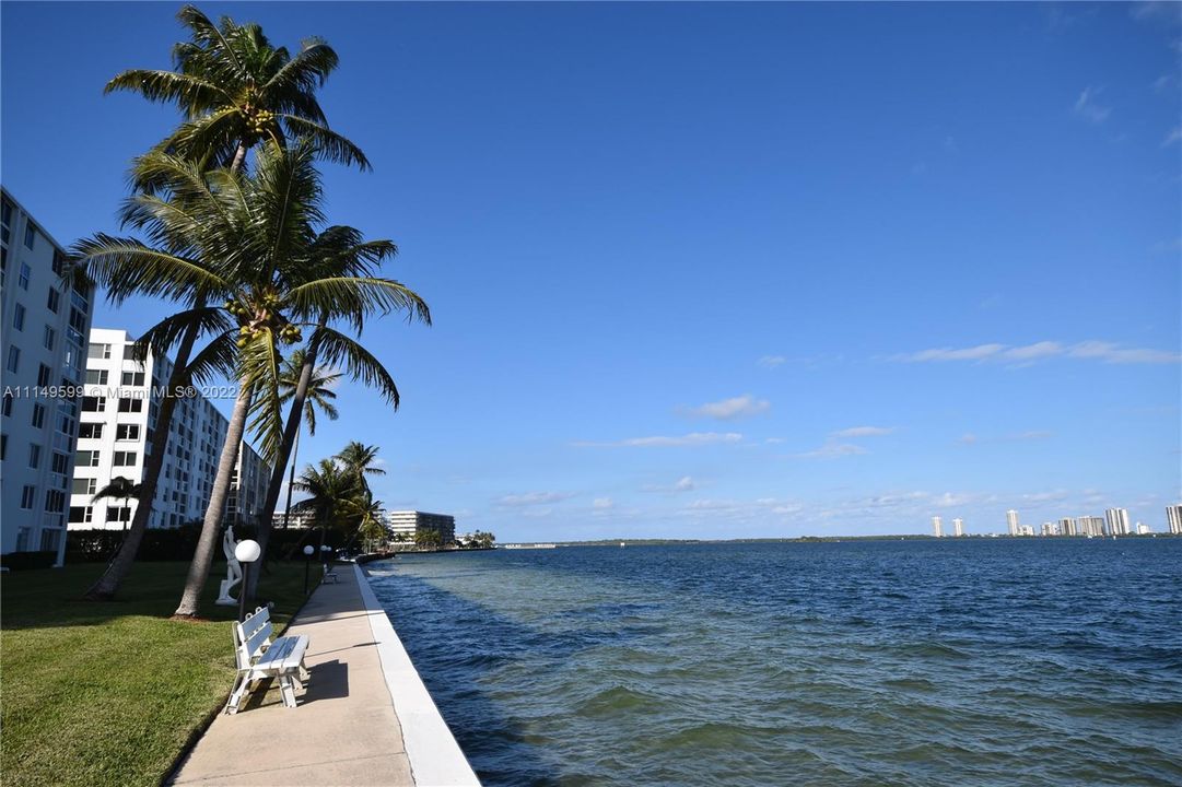 Sit and watch the Watch for dolphins, manatees & stingrays