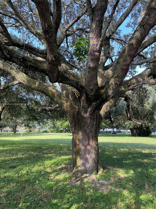 For Sale: $6,500,000 (5.17 acres)