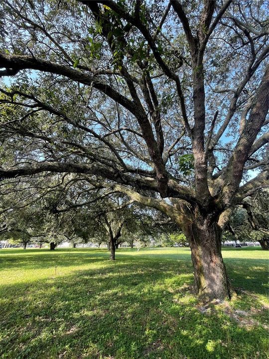 For Sale: $6,500,000 (5.17 acres)