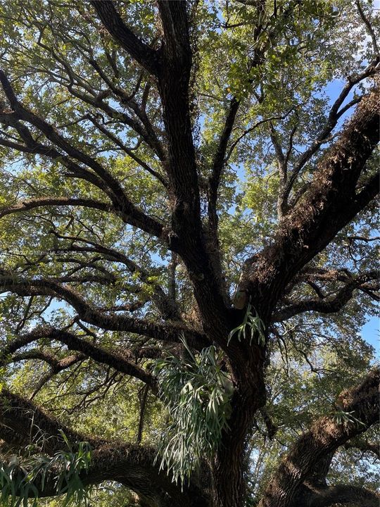 For Sale: $6,500,000 (5.17 acres)