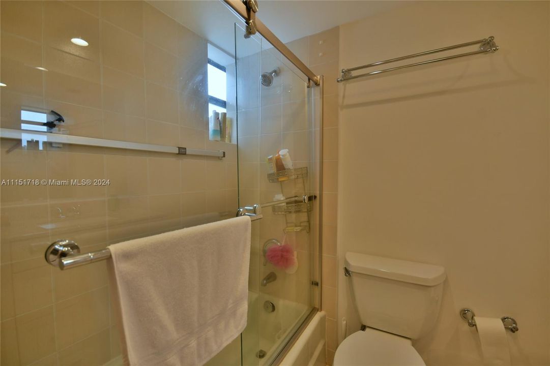 Second/Guest shower/tub