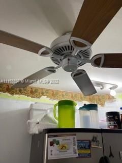 Ceiling Fan in Kitchen