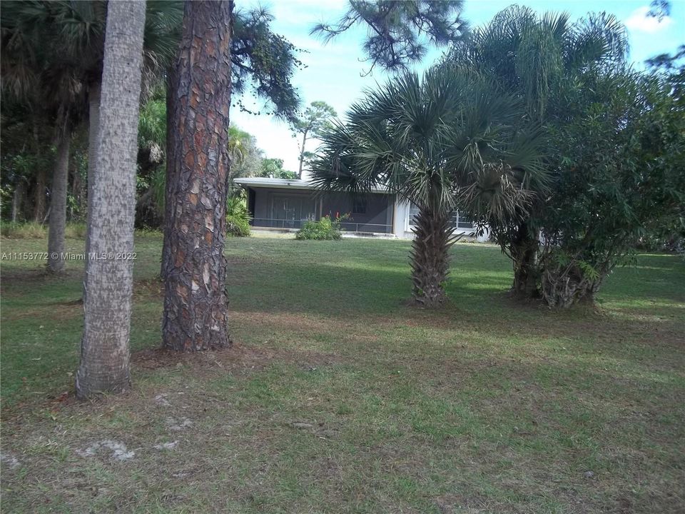 Backyard & Rear view of house