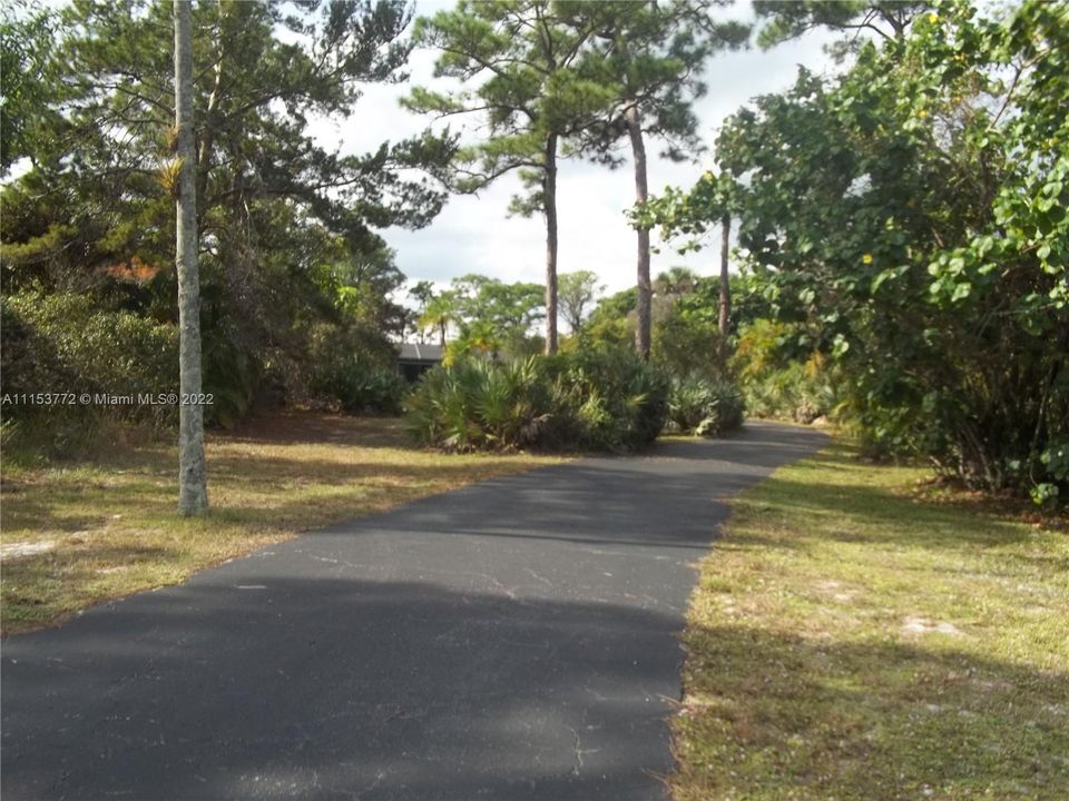 Treed lot with house set back from road