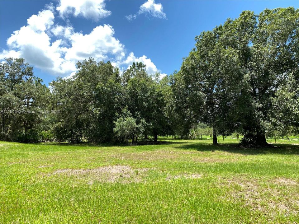 Vendido Recientemente: $319,900 (3 camas, 2 baños, 1186 Pies cuadrados)