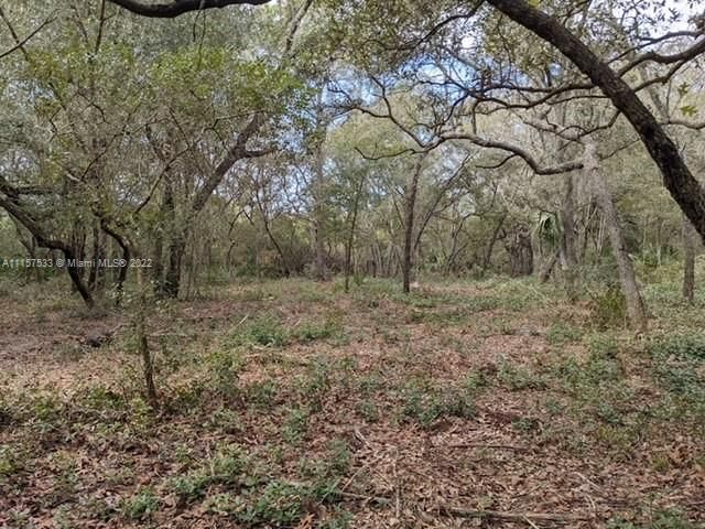 Vendido Recientemente: $42,000 (7.02 acres)