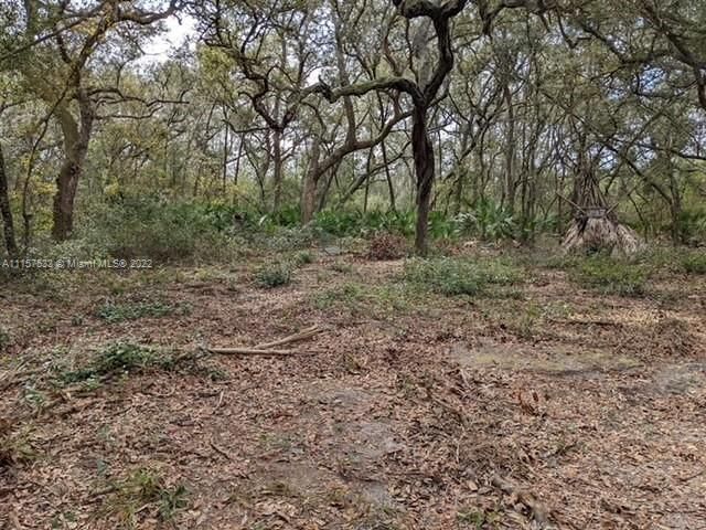 Recently Sold: $42,000 (7.02 acres)