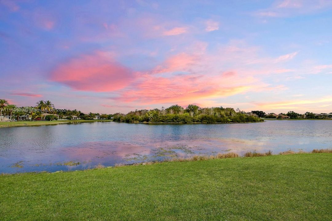 View of the Preserve