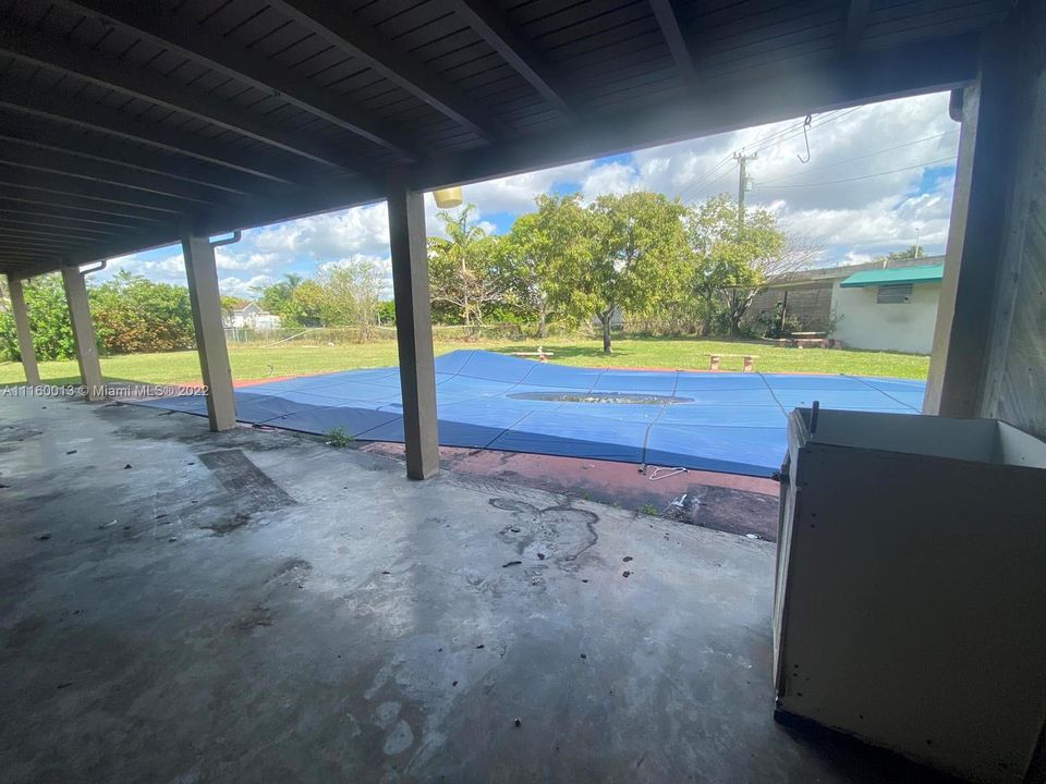 Patio & Pool