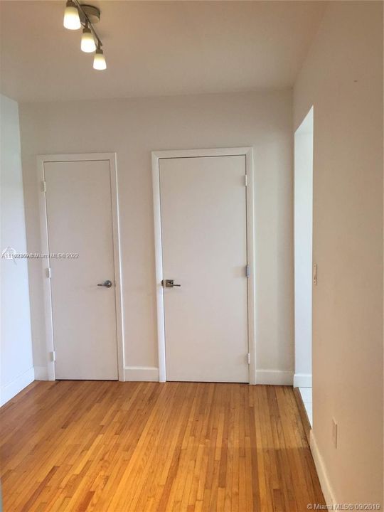 Dining Area - Door to the right is the door that goes to the stairways located in the back of the building to the backyard, and the left door is a small closet.