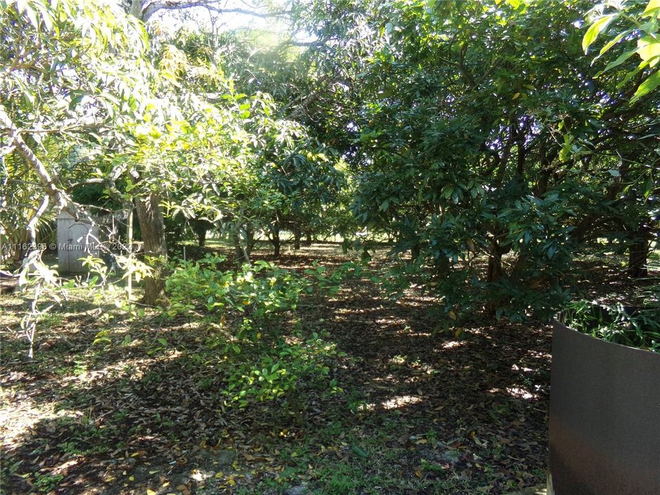 Недавно арендовано: $3,500 (3 спален, 2 ванн, 2234 Квадратных фут)