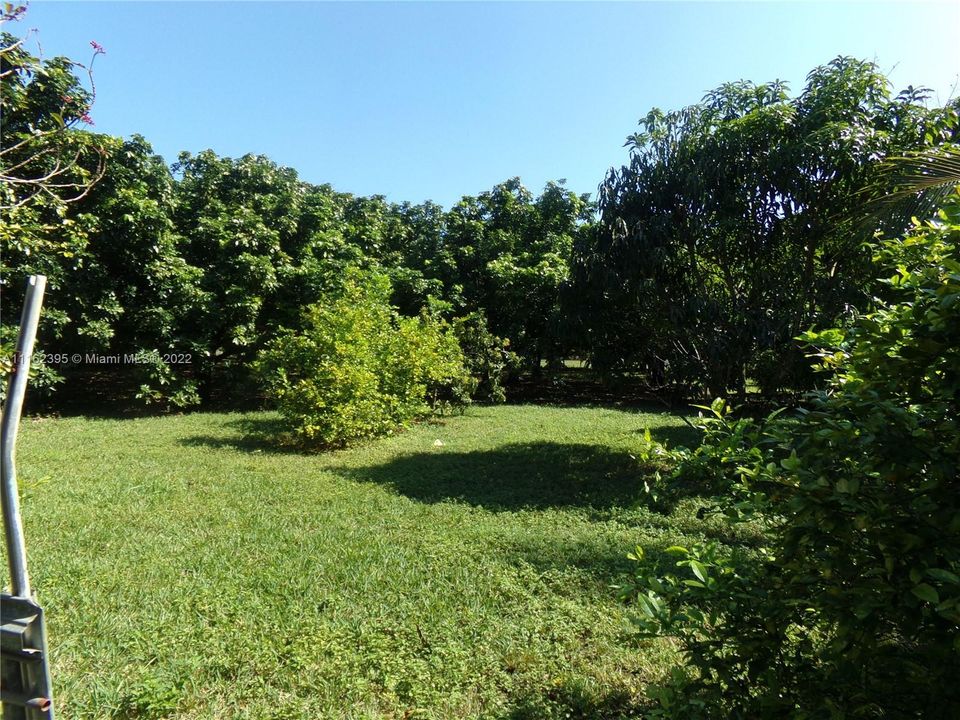 Недавно арендовано: $3,500 (3 спален, 2 ванн, 2234 Квадратных фут)