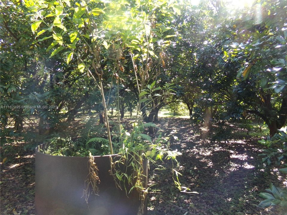 Недавно арендовано: $3,500 (3 спален, 2 ванн, 2234 Квадратных фут)