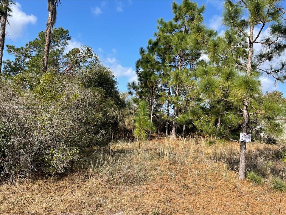 Recently Sold: $17,000 (0.50 acres)