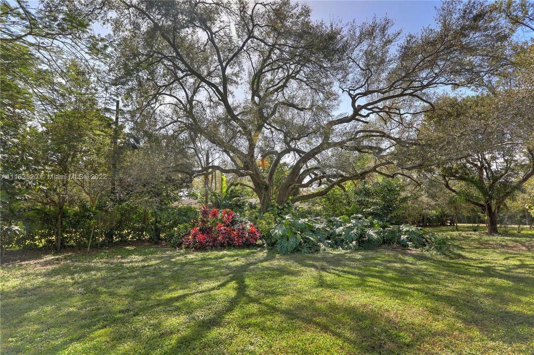 Vendido Recientemente: $1,325,000 (0.98 acres)