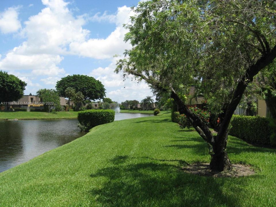 View of Lake