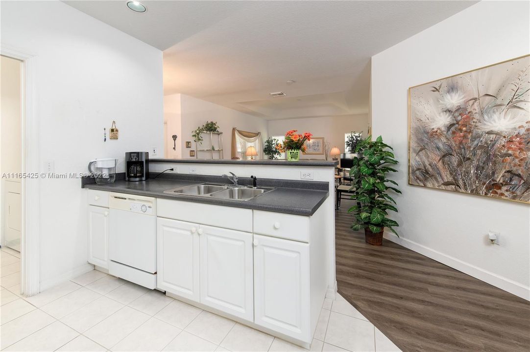 Kitchen Sink Area & Cabinets