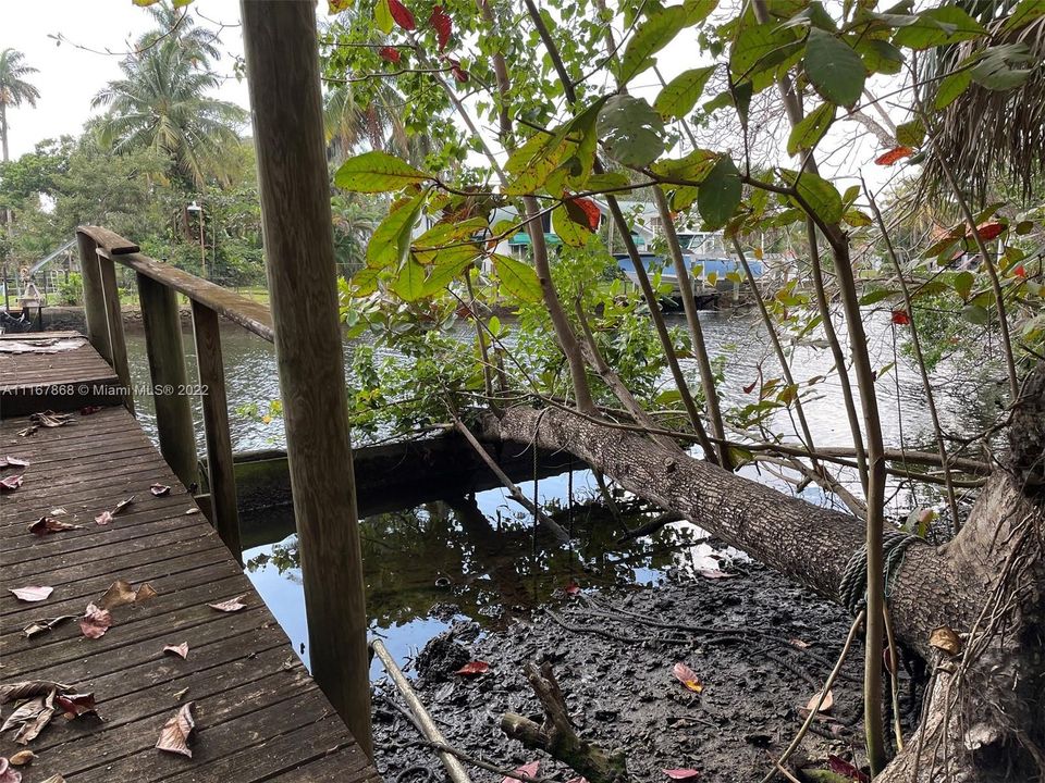 Gorgeous natural lot, with beautiful trees and tropical plants, on 150' on the North Fork of the New River. Deep Water with direct ocean access. No fixed bridges.