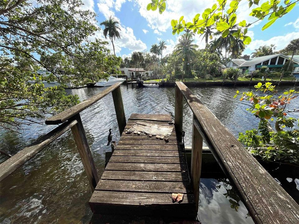 Gorgeous natural lot, with beautiful trees and tropical plants, on 150' on the North Fork of the New River. Deep Water with direct ocean access. No fixed bridges.