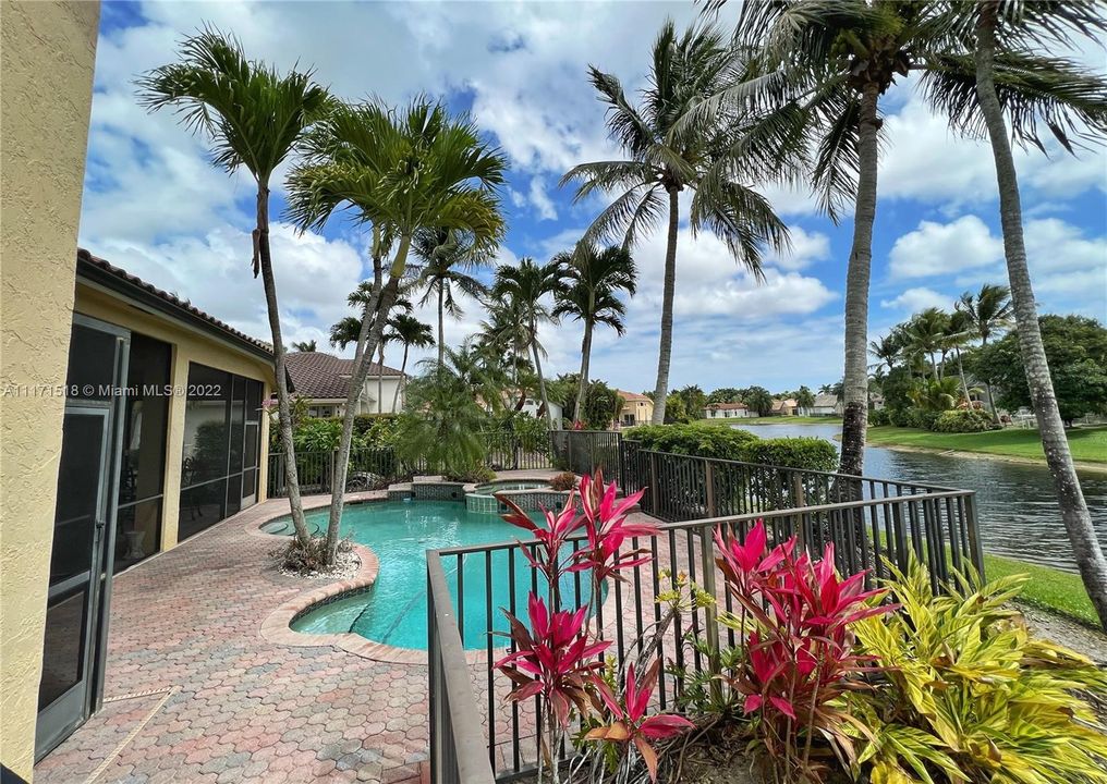 Pool & Lake View - Coconut Palms galore