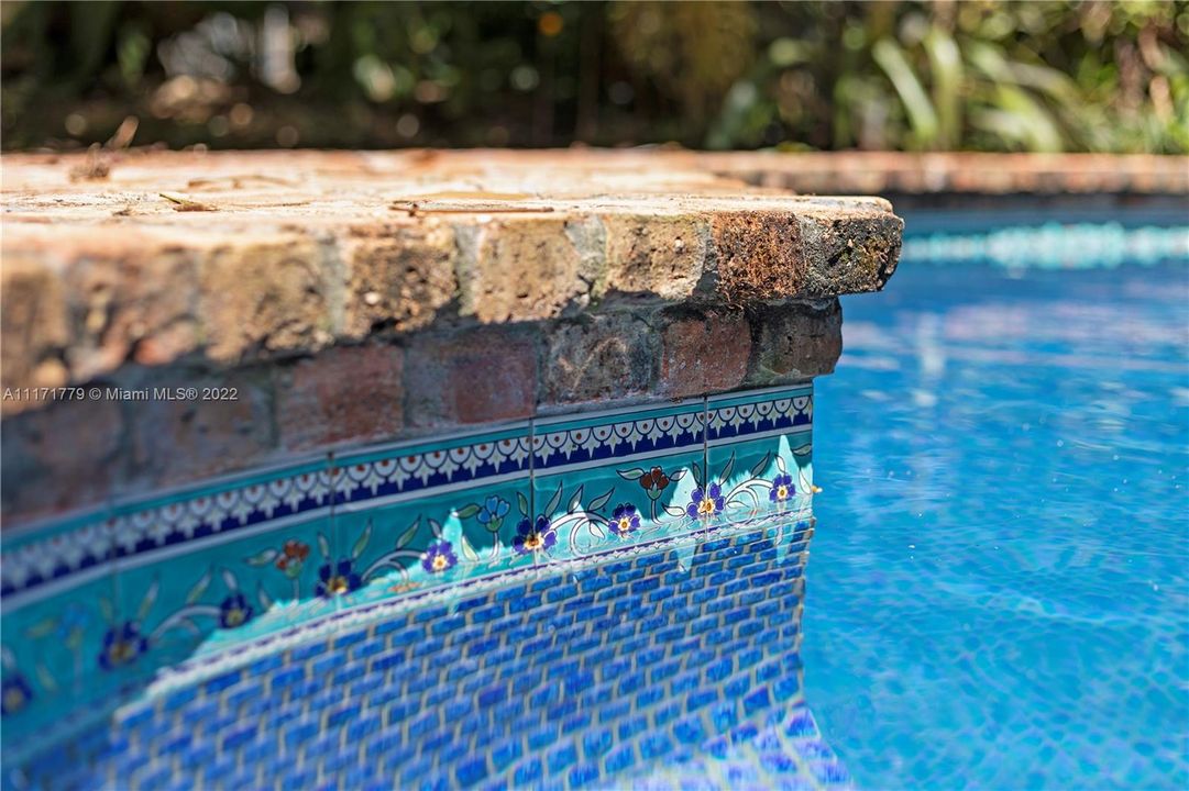 THE POOL IS LINED WITH 1" TILE... LOVE THE COLORS....