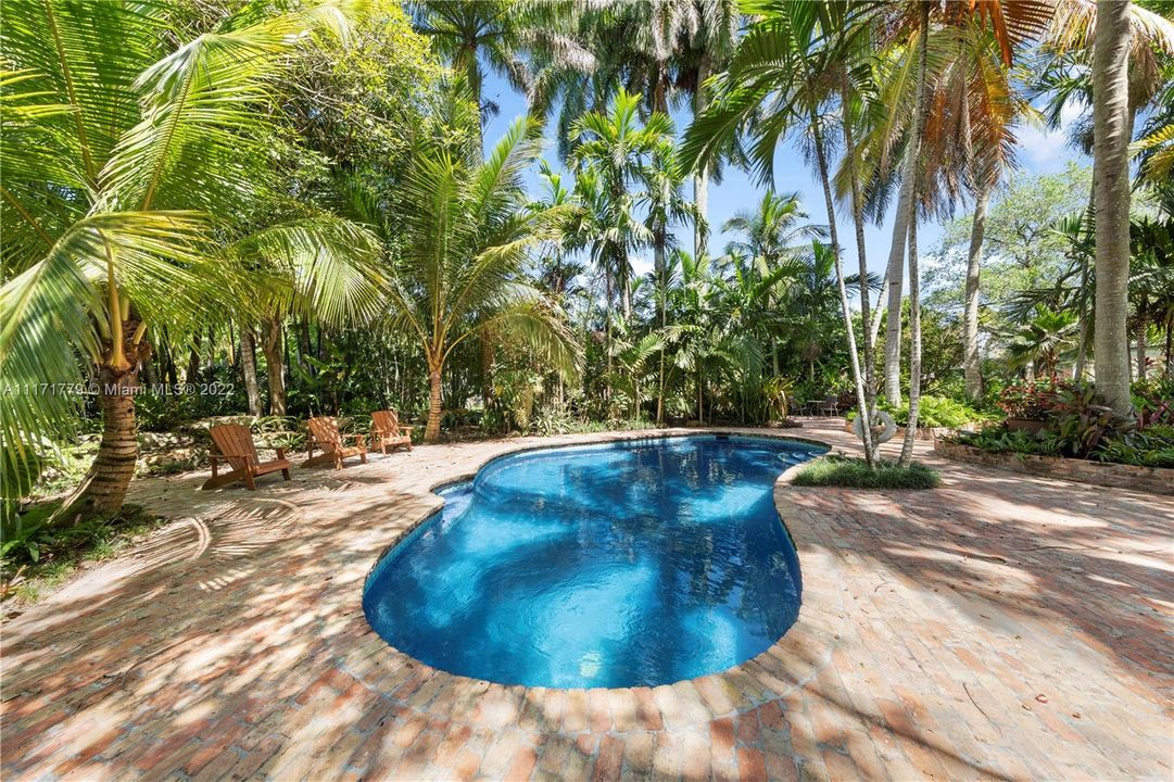 OVERSIZED BRICK PATIO AND MULTIPLE SITTING AREAS SURROUND THE POOL . THIS IS IDEAL FOR ENTERTAINING