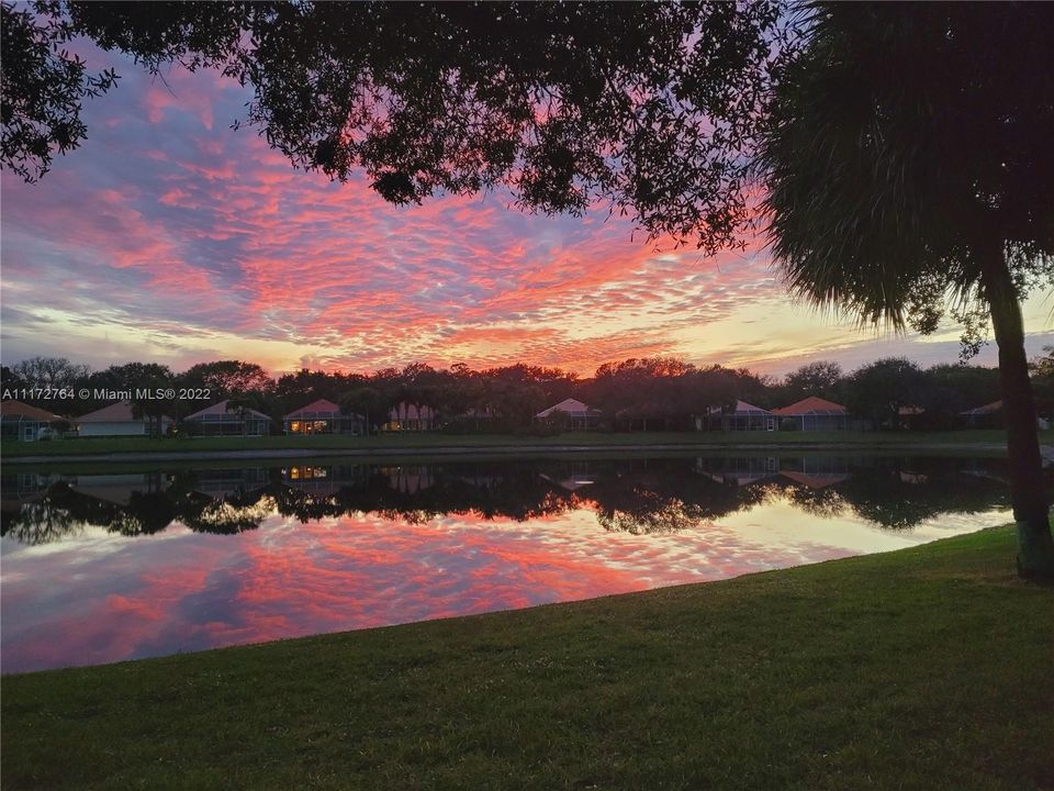 View from patio