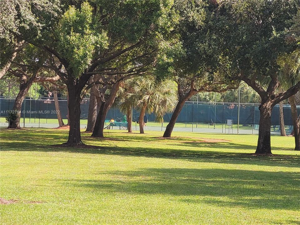 Tennis at Park outside gate