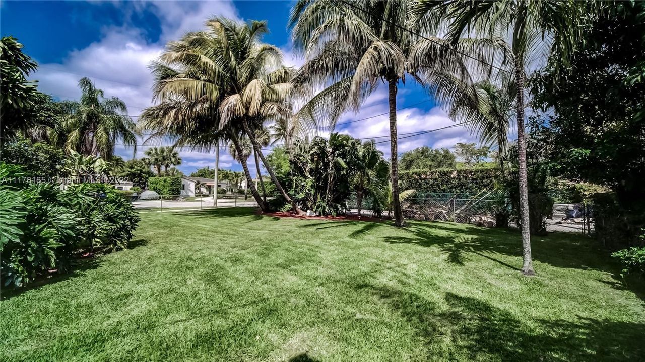 Back Yard with Alley Access